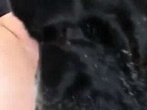 Thumb 8