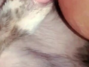 Dog Fuck