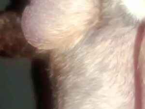 Thumb 10