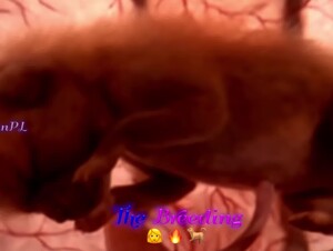 Thumb 9