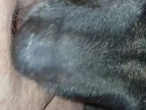 Thumb 10
