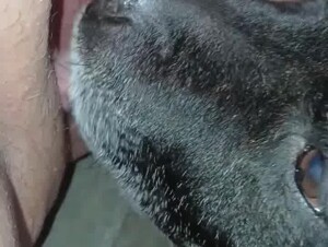 Thumb 6