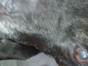 Thumb 8