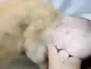 Thumb 6