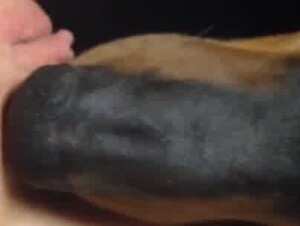 Thumb 7