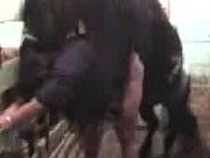 Horse fuck