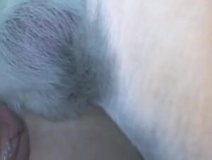 Thumb 10