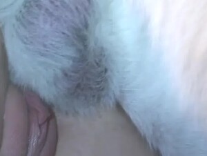 Thumb 7