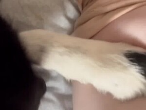 Thumb 6