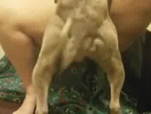 fat_woman_having_sex_with_her_dog