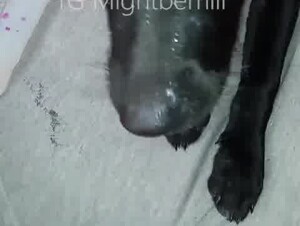 Thumb 1