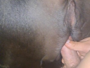 Thumb 1