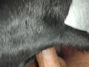Thumb 10