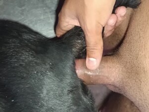 Thumb 4