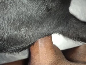 Thumb 7
