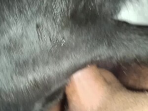 Thumb 8