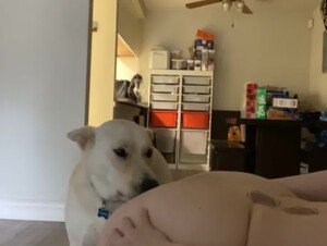 Mom Loves her Dog