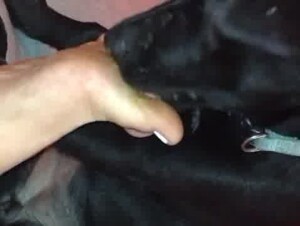 Thumb 6