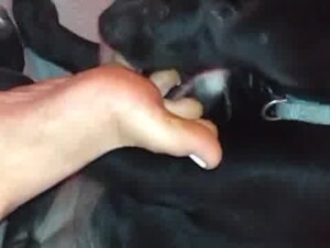 Thumb 7