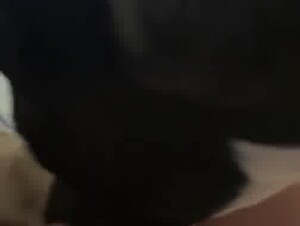 Thumb 8