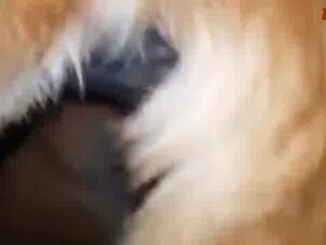 Thumb 6