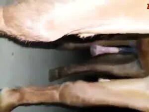 Thumb 9