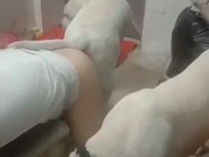 Thumb 6