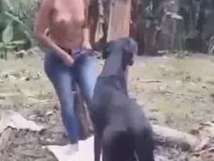 Tied on the fucked up dog