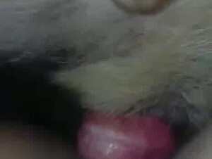Thumb 8