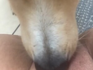 Thumb 10