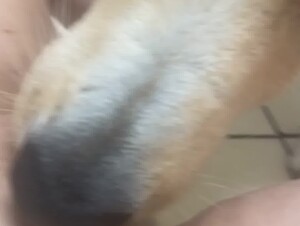 Thumb 7