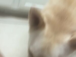 Thumb 8
