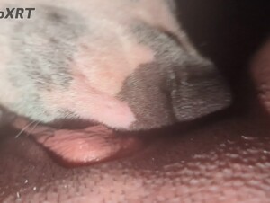 Thumb 6