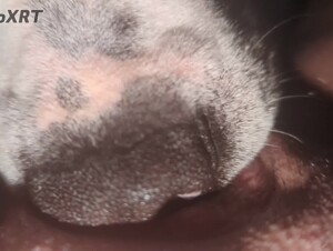 Thumb 7