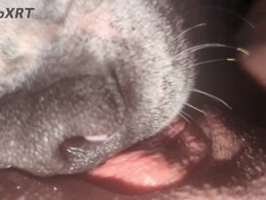 Thumb 8