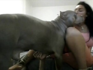 Dog slut Compilation