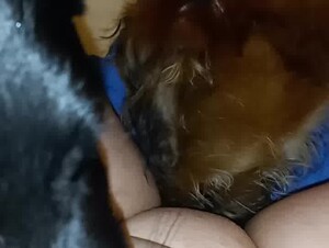 Thumb 1