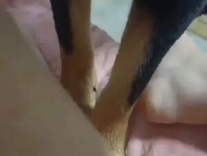 Thumb 3