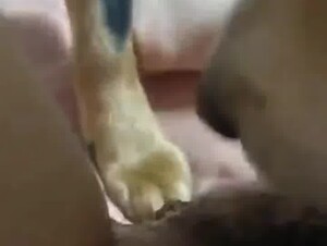 Thumb 6