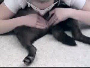 Thumb 10