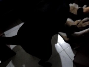 Thumb 8