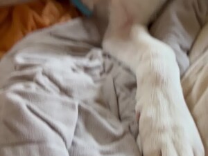 Thumb 10