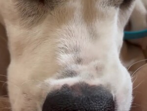 Thumb 8