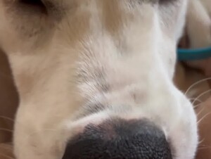 Thumb 9