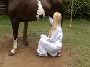 horse