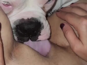 Lick