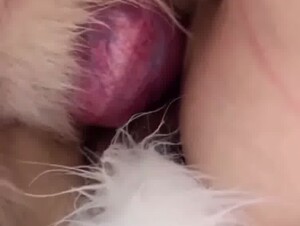 Thumb 7