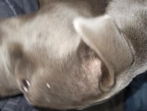 Thumb 9