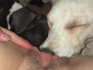 Landing strip licked
