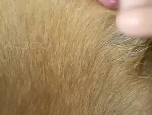 Thumb 10